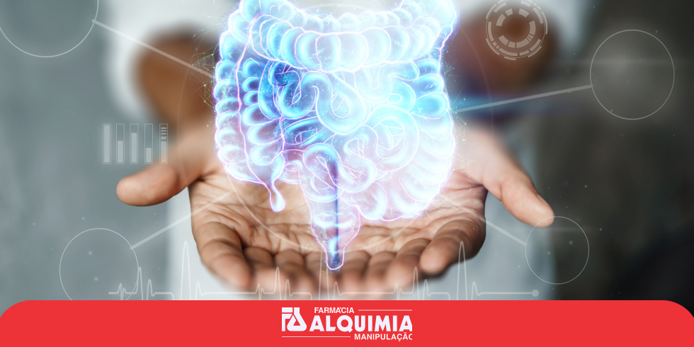 Suplementos para Suporte à Saúde Digestiva: Benefícios
