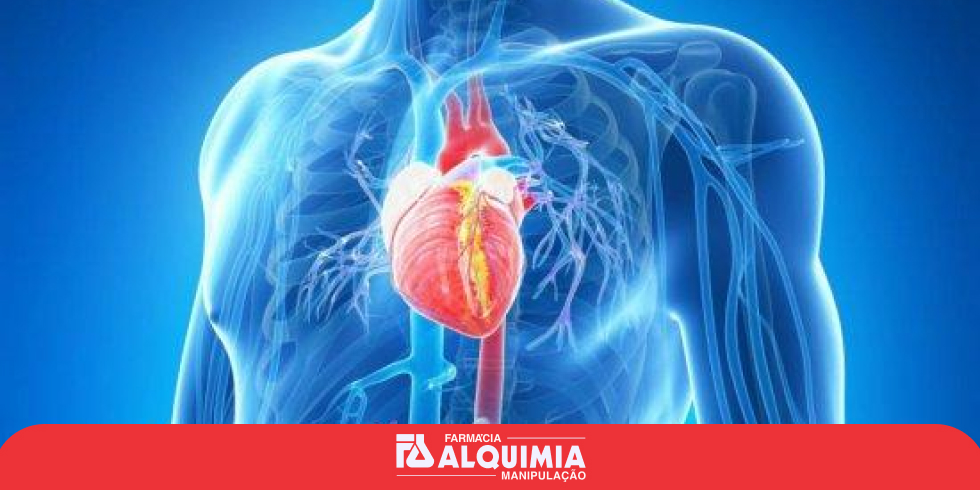 Apoio da Saúde Cardiovascular: O Poder do Resveratrol