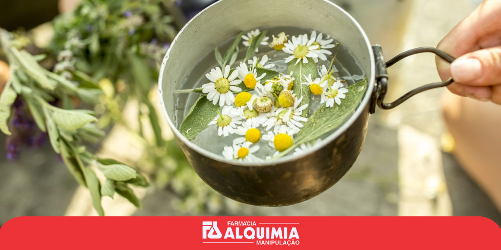 Suplemento Camomila 500mg Auxílio Natural para Ansiedade e Insônia